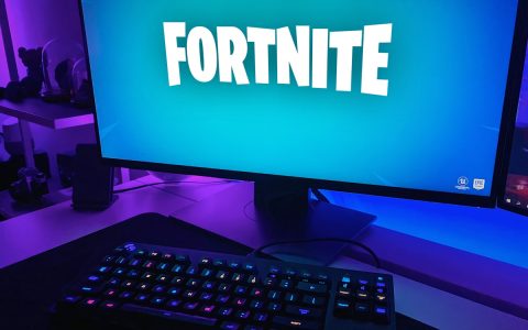 《堡垒之夜》天价皮肤引争议：虚拟服装价格竟是独立游戏本体两倍