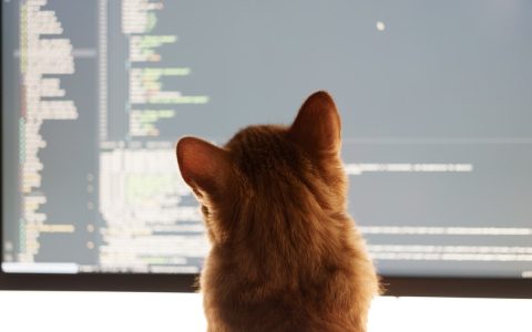 《GACHIAKUTA：游戏》角色战斗实机解析：从“垃圾”中诞生的战斗美学