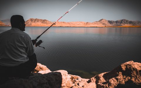 《北极之卵》团队新作：2026年最佳游戏，可能是一款“钓鱼”游戏