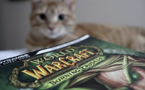 《魔兽世界》史诗级直播事故：隐藏终局阶段引爆全球玩家狂欢