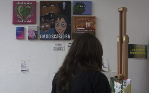 “傻鹅”身份认同：从网络迷因到消费文化的深度解码